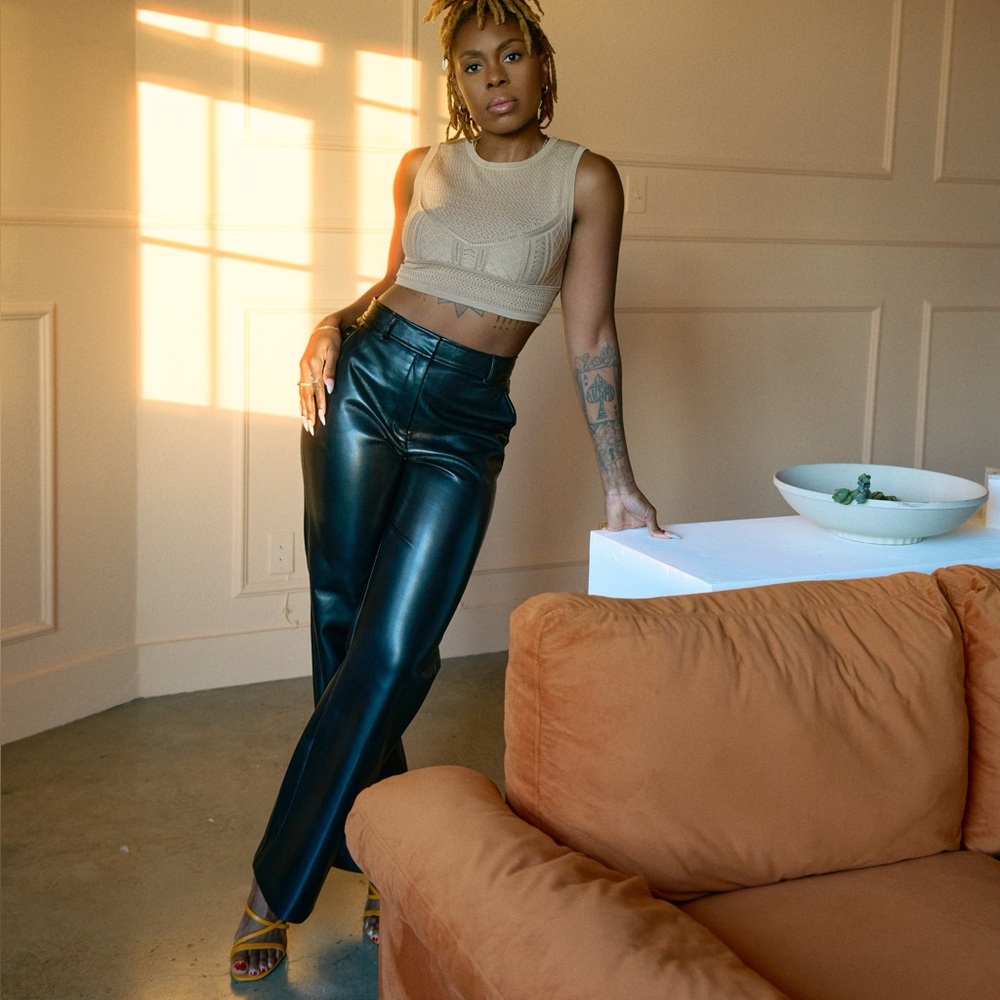 Aritzia Babaton Classic Black Leather Pants